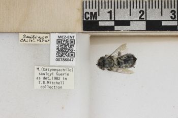 Media type: image;   Entomology 786047 Aspect: Labels